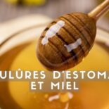 miel et brulures d'estomac
