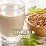 soy and menopause hot flashes