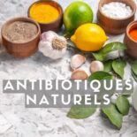 trouver un antibiotique naturel