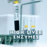 how to lower liver enzymes
