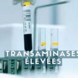 transaminases élevées quand s inquiéter