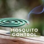 get rid of mosquitoes in house