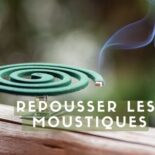 comment faire fuir les moustiques