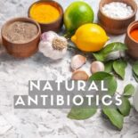 best natural antibiotics