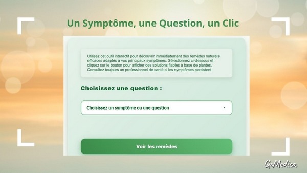 Outil questions-réponses remèdes naturels et conseils santé