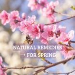 Spring natural remedies guide: collection of herbs, plants and ingredients for allergies, detox and energy