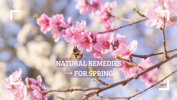 Spring natural remedies guide: collection of herbs, plants and ingredients for allergies, detox and energy
