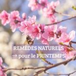 Guide des remèdes naturels pour le printemps : solutions contre les allergies, la fatigue et la détox