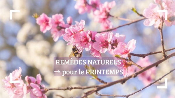 Guide des remèdes naturels pour le printemps : solutions contre les allergies, la fatigue et la détox