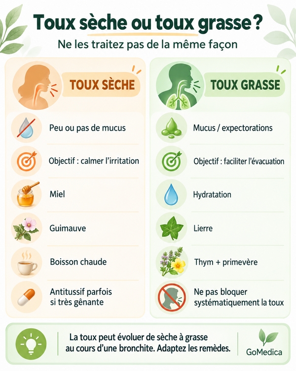 Infographie GoMedica comparant toux sèche et toux grasse : mucus, objectifs et remèdes naturels adaptés